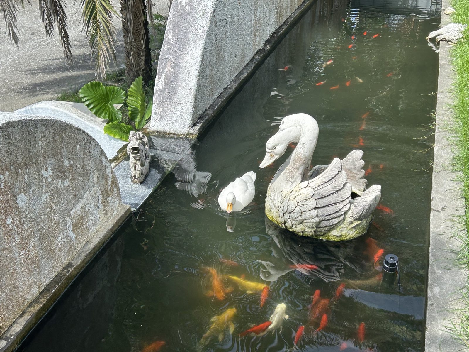 庭園