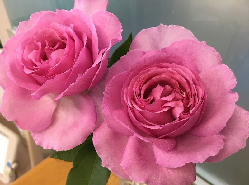 旋轉香水 杏粉色