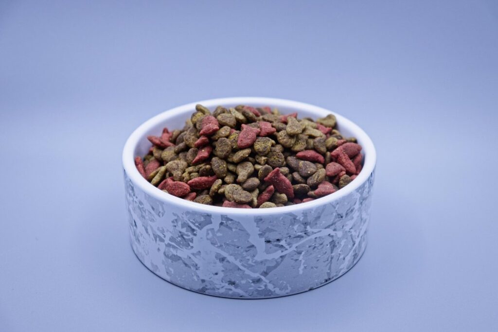 陶瓷食盆